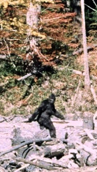 Bigfoot